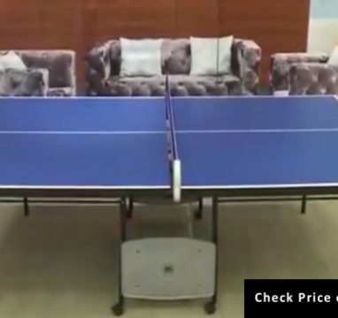 Best Ping Pong Table for Money Limited Budget