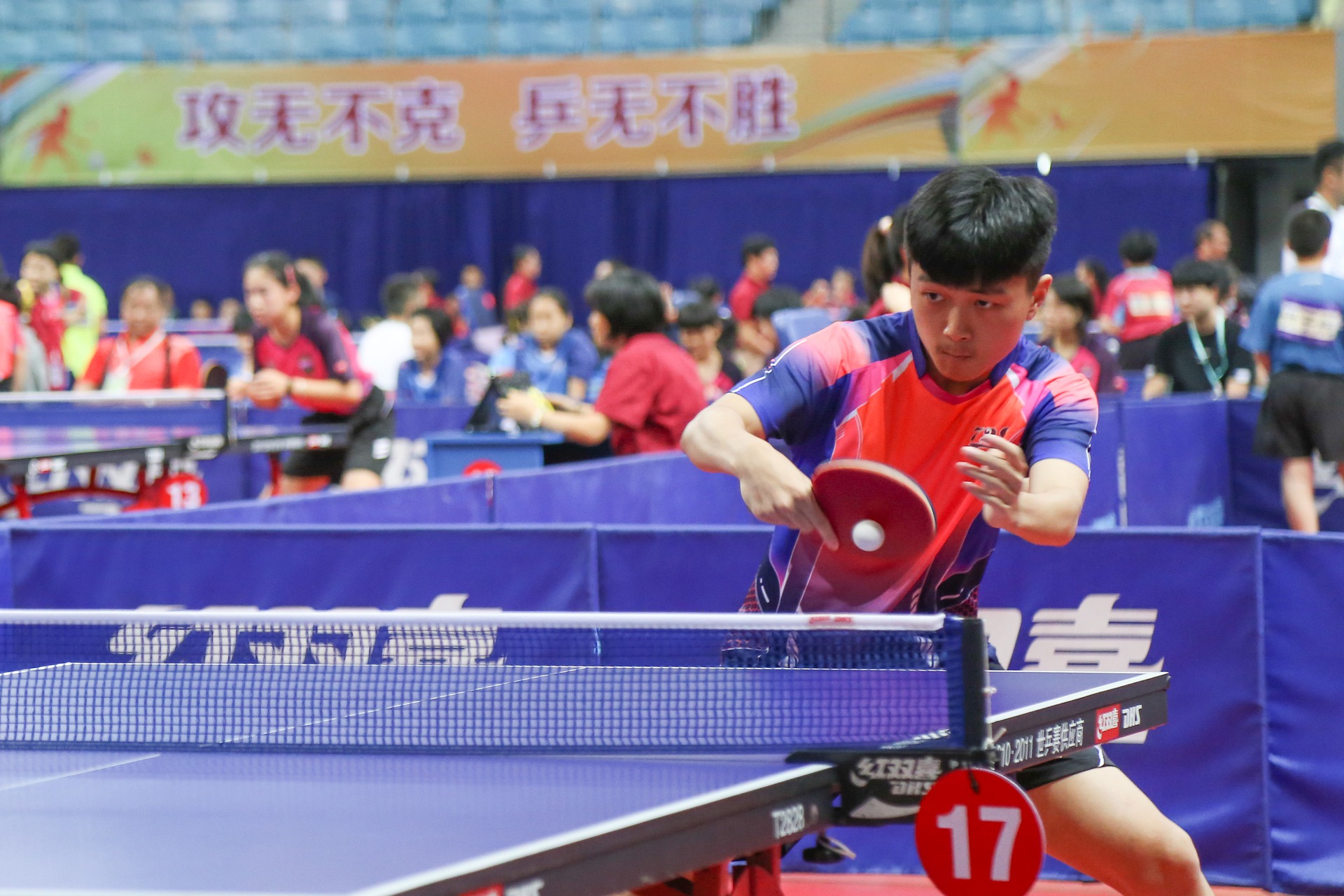 HALL OF GAMES OFFICIAL SIZE WOOD TABLE TENNIS TABLE